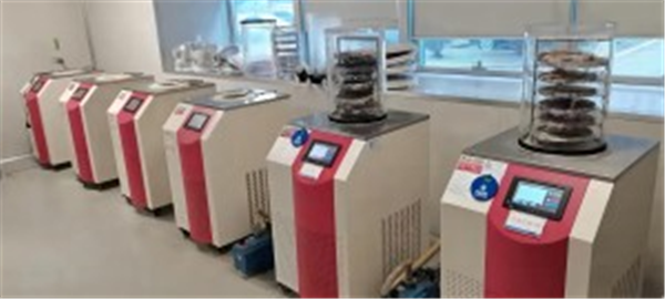 低温冷冻干燥机在化学合成领域中的应用有哪些优势？