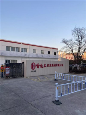 雷允上药业集团有限公司