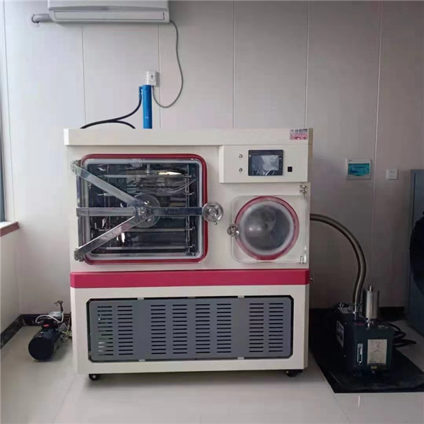 小型真空冷冻干燥机在药品保存中的应用
