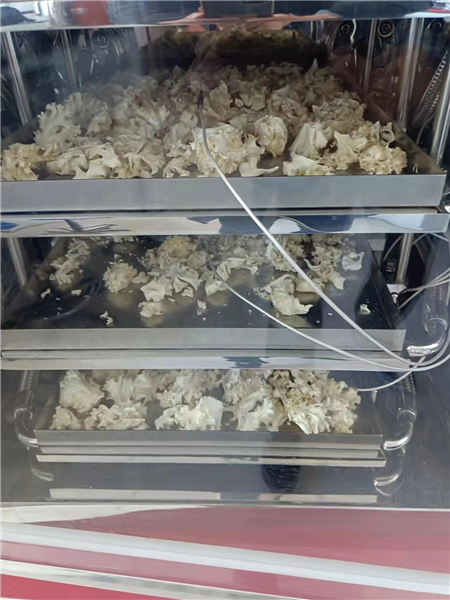 真空冷冻干燥机的优点和使用注意事项介绍
