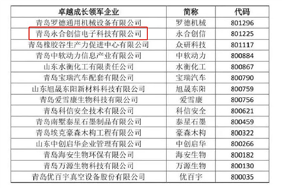 永合创信再获荣誉--卓越成长领军企业