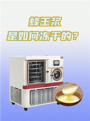蜂王浆冻干